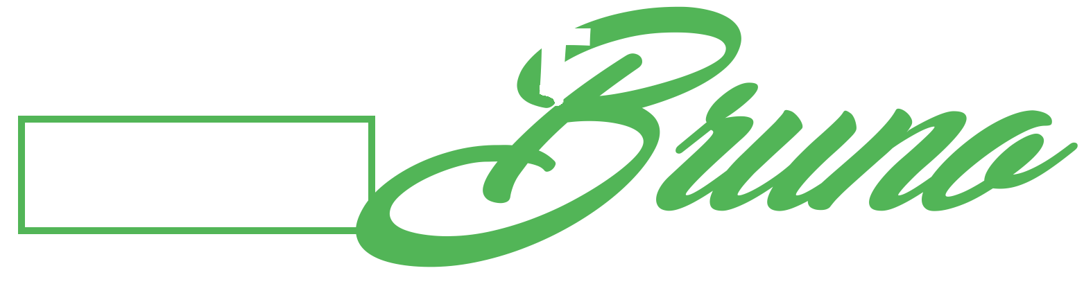 Connect With Bruno